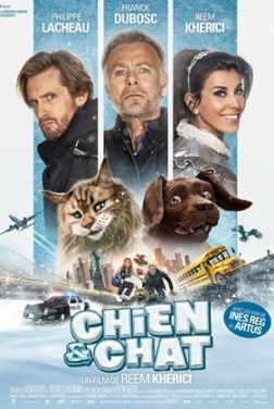 Chien et Chat